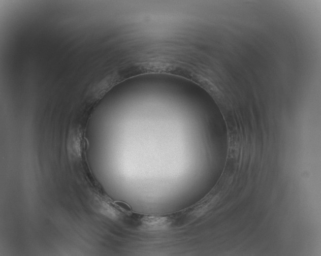 X0000073480334200608071027