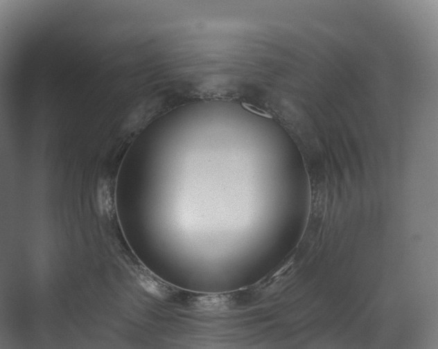 X0000073480335200608071027