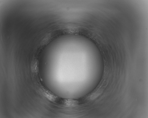 X0000073480336200608071027