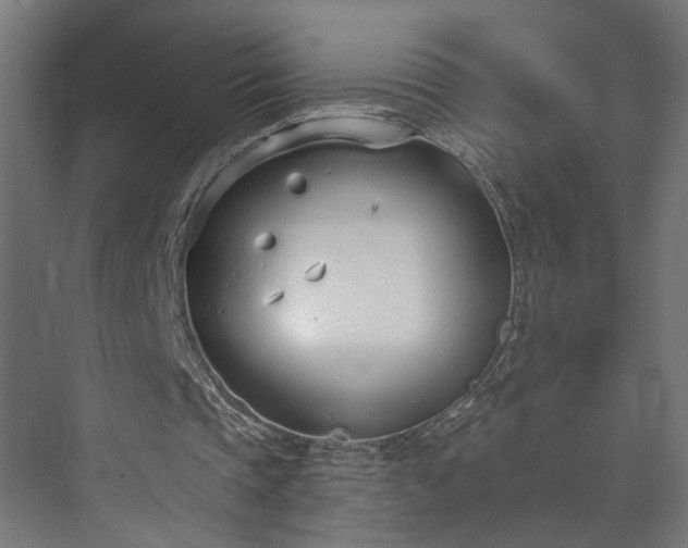 X0000073480337200608071026