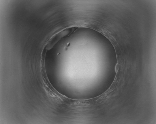 X0000073480338200608071026