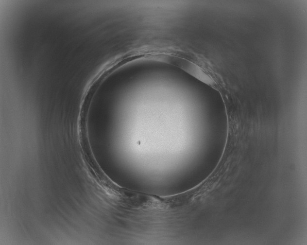 X0000073480340200608071026