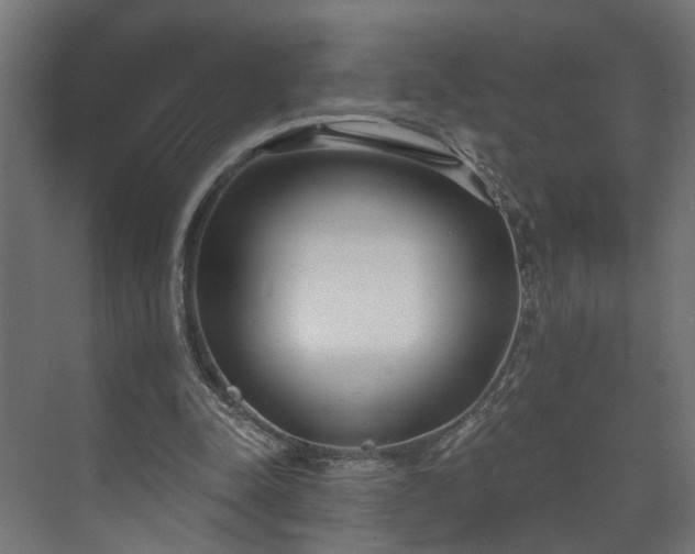 X0000073480342200608071026