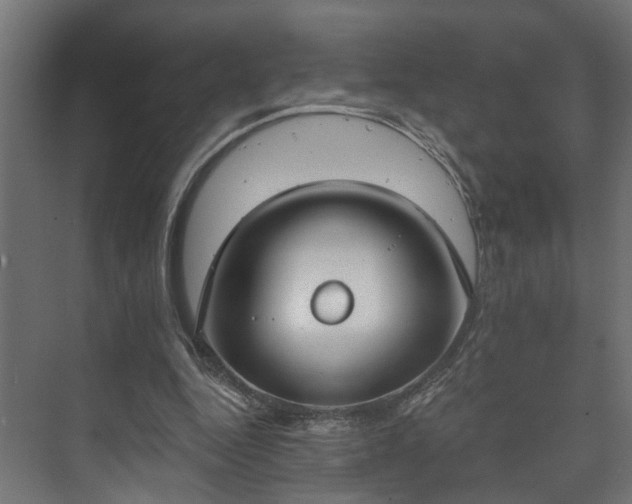 X0000073480344200608071026