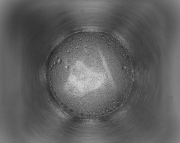 X0000073480347200608071027