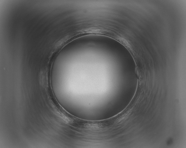 X0000073480349200608071027