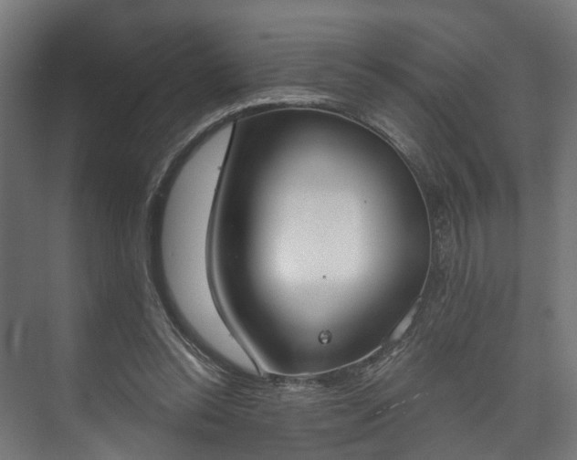 X0000073480350200608071027