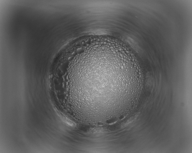 X0000073480351200608071027