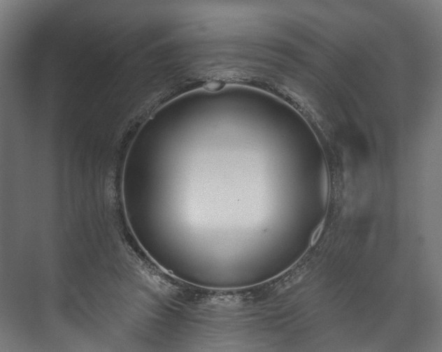 X0000073480353200608071027