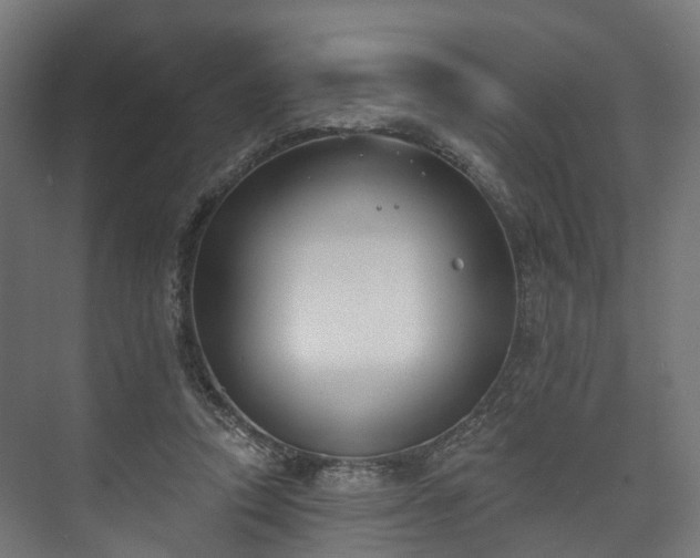 X0000073480354200608071027