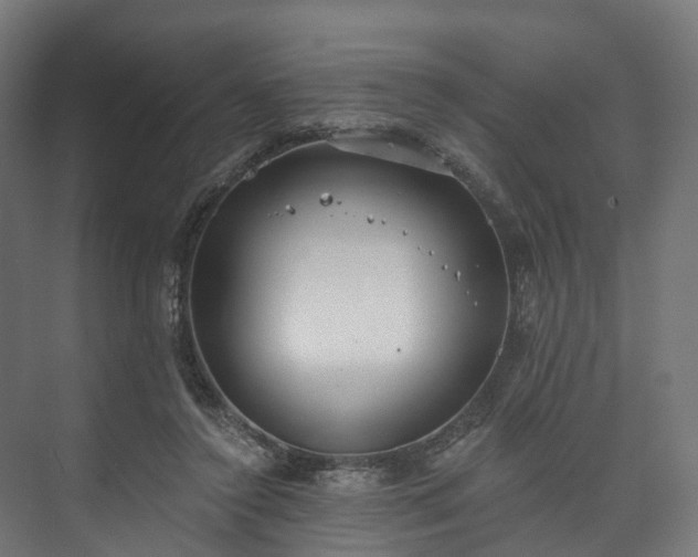 X0000073480356200608071027