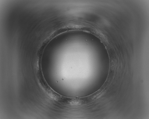 X0000073480358200608071027