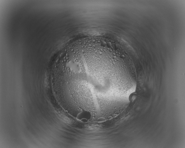 X0000073480359200608071027