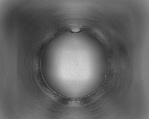 X0000073480362200608071027