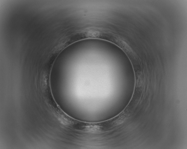 X0000073480363200608071027