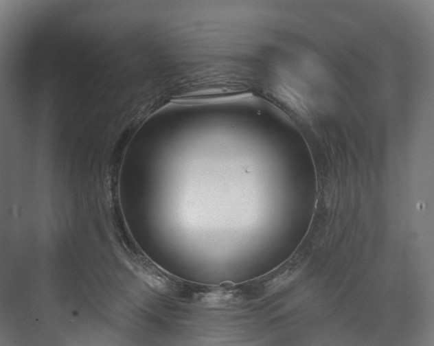 X0000073480366200608071027