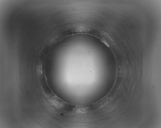 X0000073480368200608071027