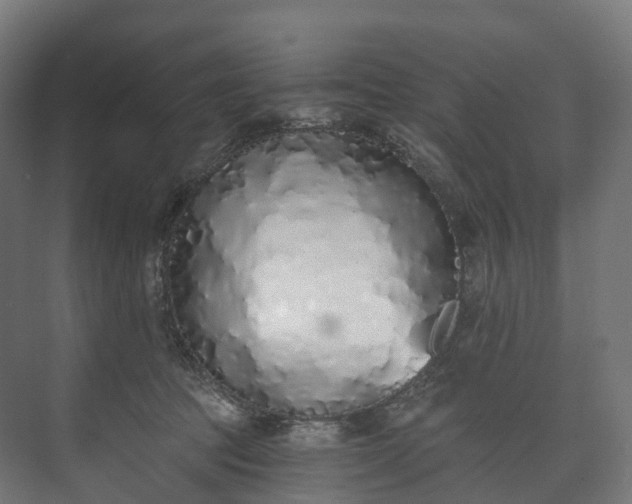 X0000073480369200608071027