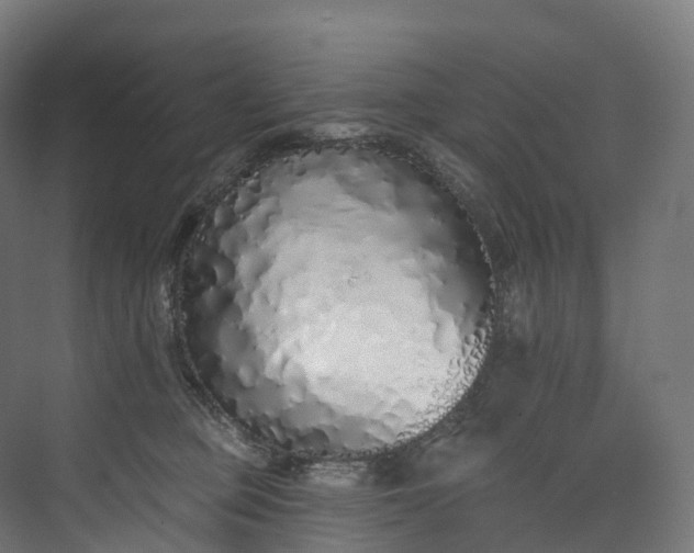 X0000073480373200608071027