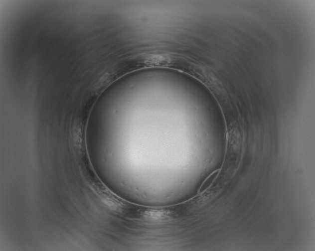 X0000073480375200608071027