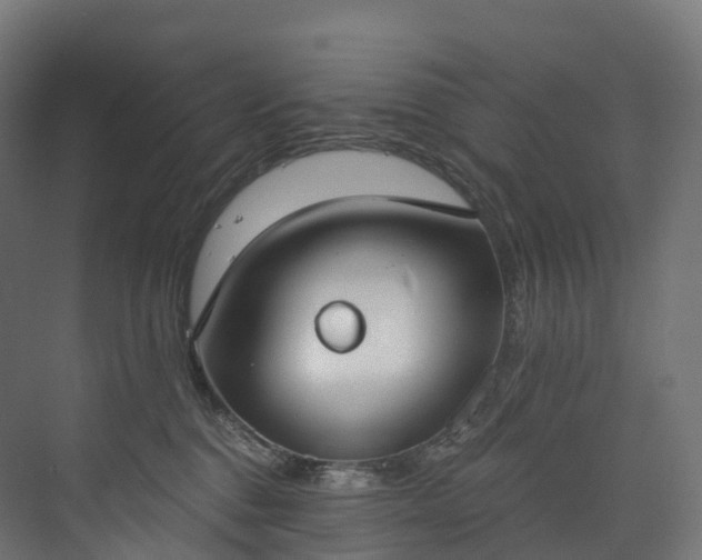 X0000073480376200608071027