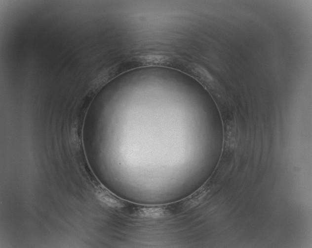 X0000073480377200608071027