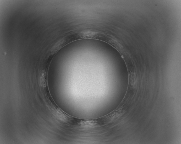 X0000073480378200608071027