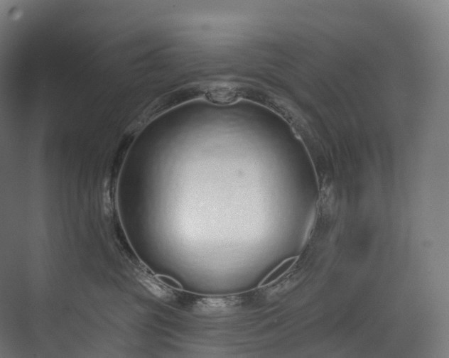 X0000073480381200608071027