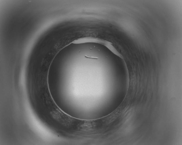 X0000073480383200608071027