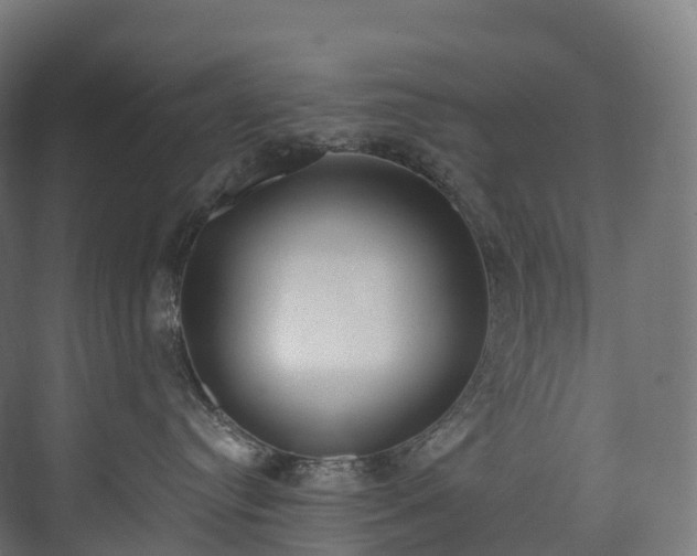 X0000073480384200608071027