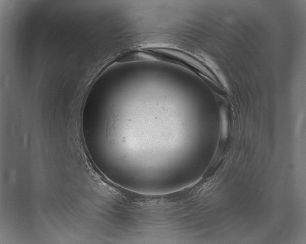 X0000073480385200608071026