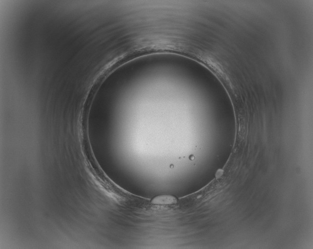 X0000073480390200608071026