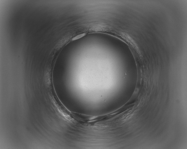 X0000073480393200608071026