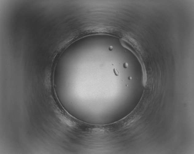 X0000073480394200608071026