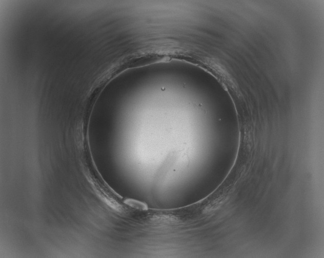 X0000073480397200608071026