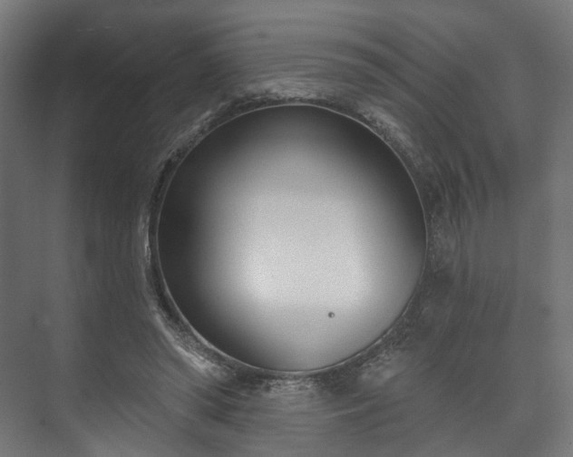 X0000073480398200608071026