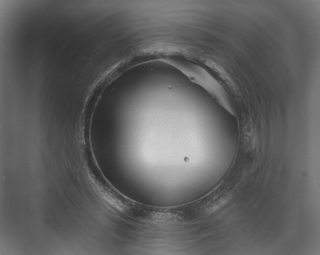 X0000073480399200608071026