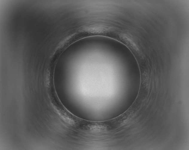 X0000073480400200608071026