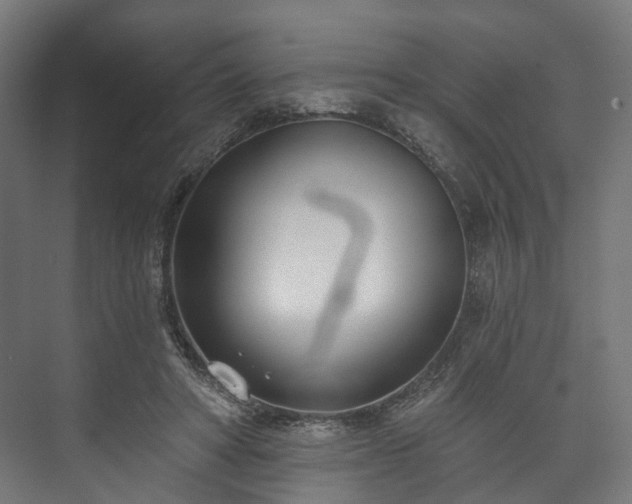 X0000073480402200608071026