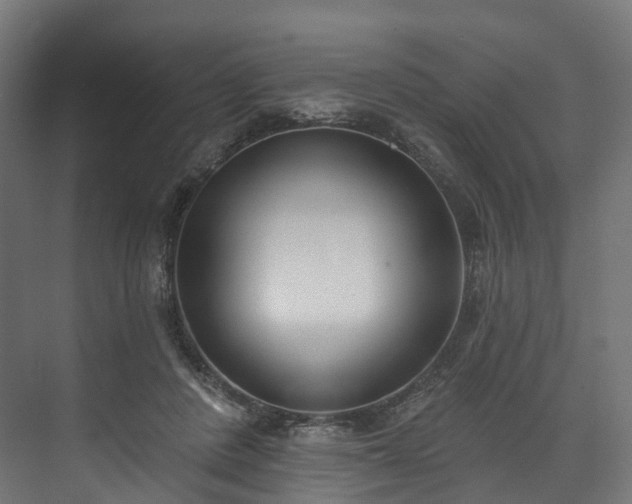 X0000073480408200608071026