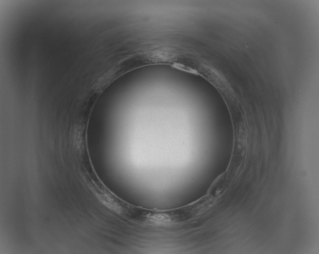 X0000073480409200608071026