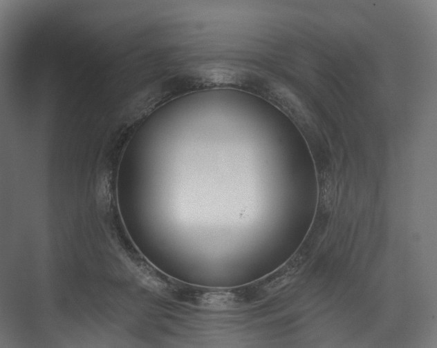 X0000073480410200608071026