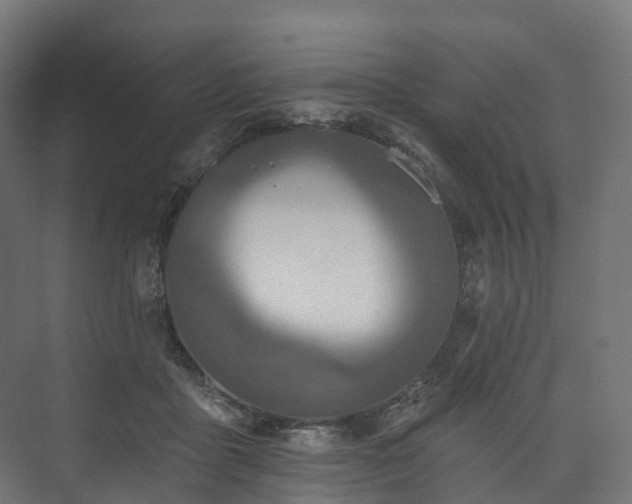 X0000073480411200608071026