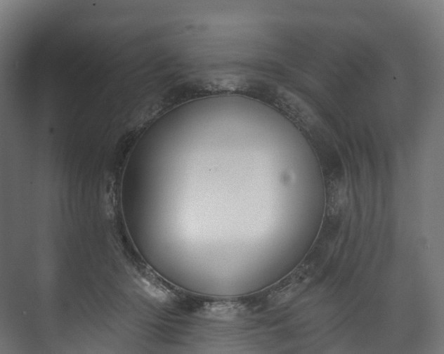 X0000073480414200608071026