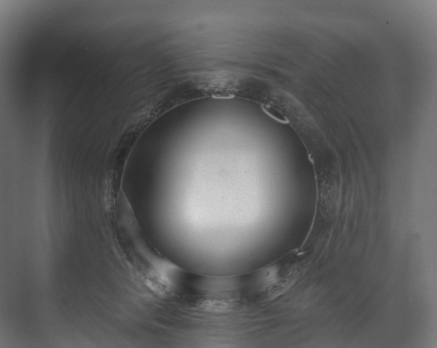 X0000073480416200608071026