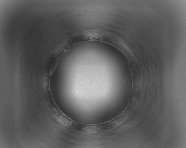 X0000073480417200608071026