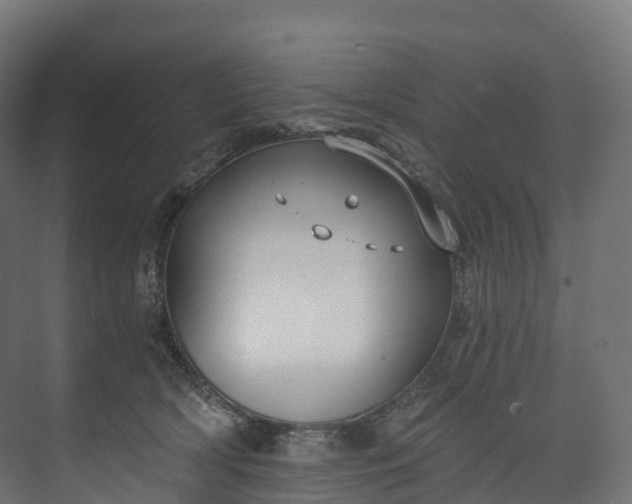 X0000073480418200608071026