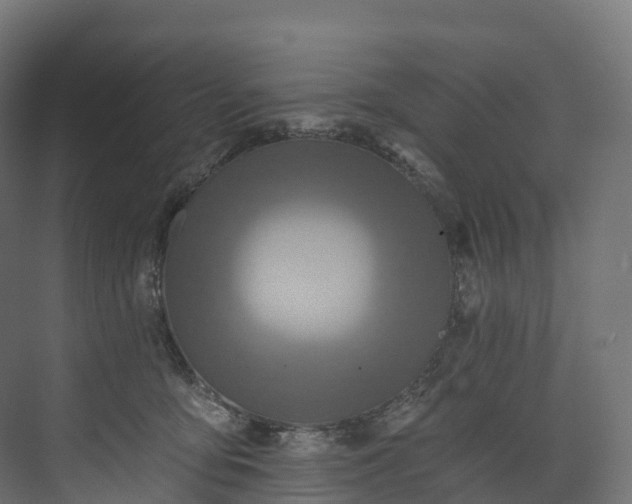 X0000073480419200608071026