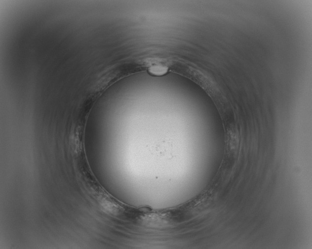 X0000073480422200608071026