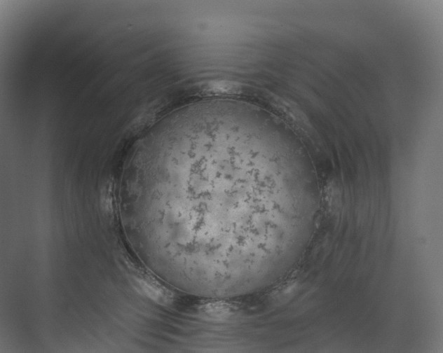 X0000073480423200608071026